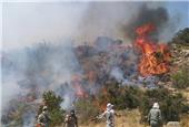 آخرین جزئیات آتش سوزی در جنگل های گلستان/ وقوع پنجمین حریق در پارک ملی گلستان