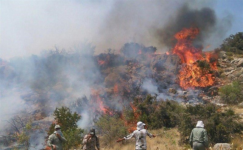 آخرین جزئیات آتش سوزی در جنگل های گلستان/ وقوع پنجمین حریق در پارک ملی گلستان