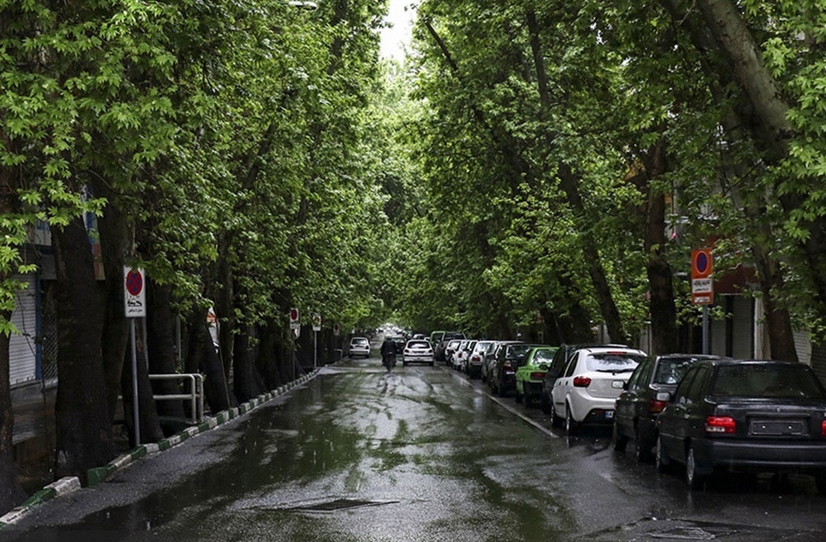 رگبار و رعد و برق تا پنجشنبه در تهران/ از کوهنوردی خودداری کنید